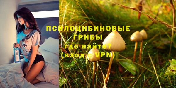 apvp Аркадак