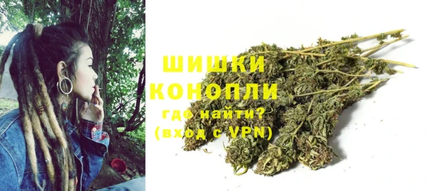 мяу мяу мука Сясьстрой