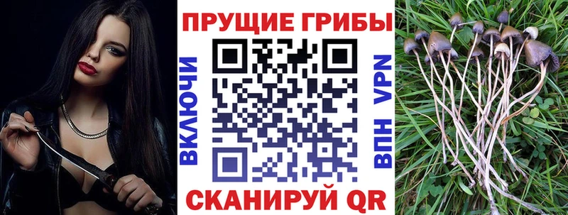 Псилоцибиновые грибы MAGIC MUSHROOMS Новоалександровск