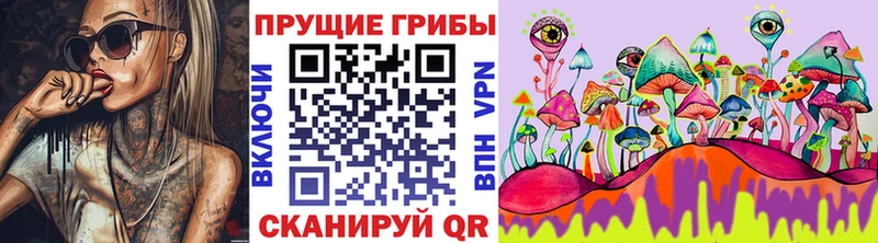 Галлюциногенные грибы прущие грибы  где купить наркотик  Новоалександровск 